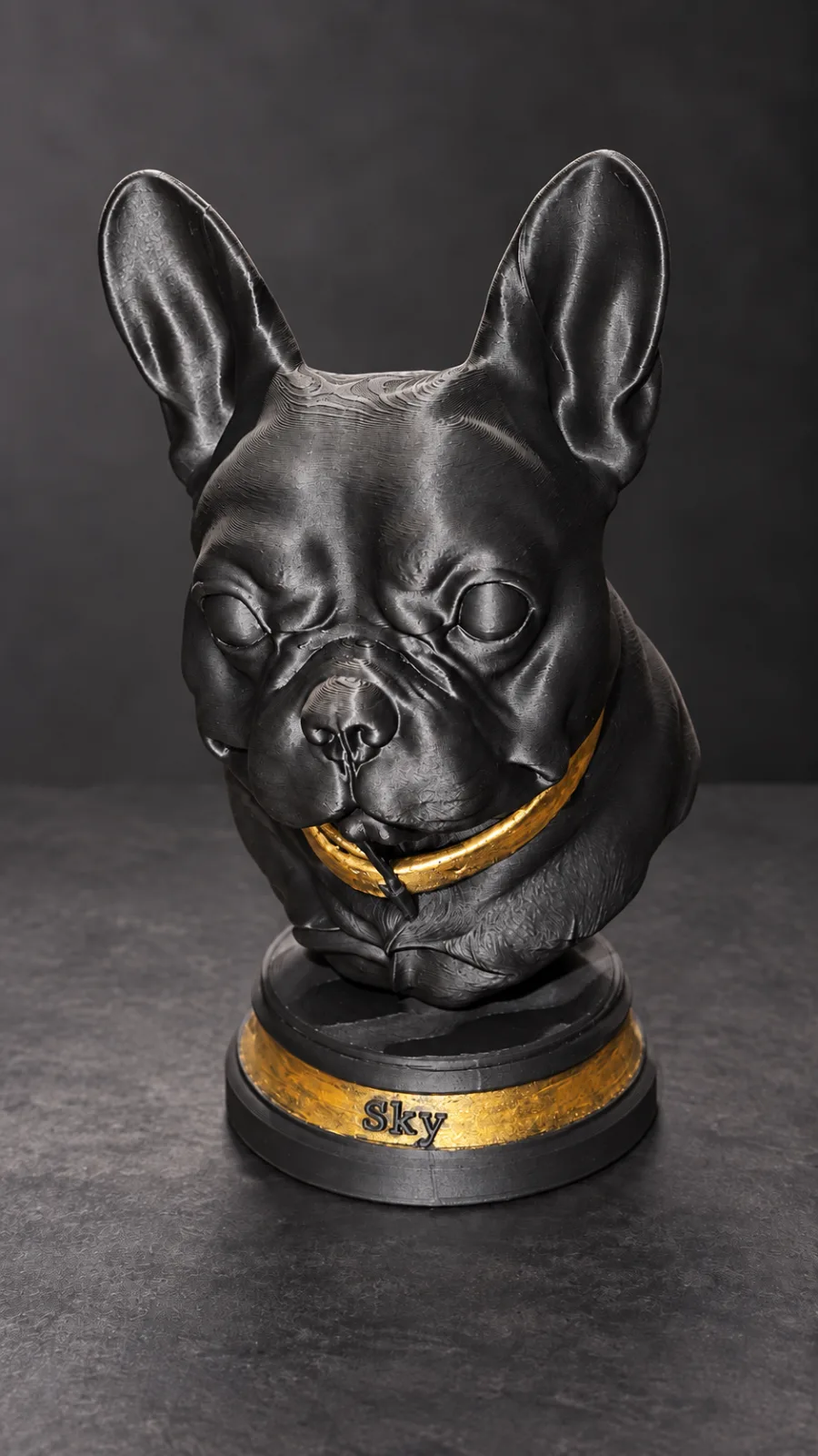 Nachher: Französische Bulldogge