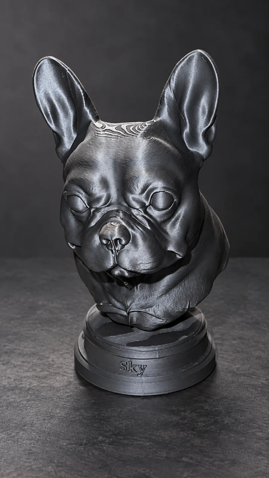 Vorher: Französische Bulldogge